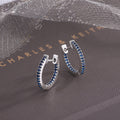 S925 Sterling Silver Zircon Earrings Jewelry