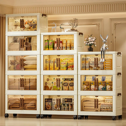 Foldable Storage Box with Clear Front Door