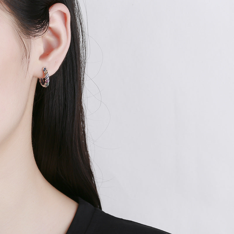S925 Sterling Silver Multicolor Earrings